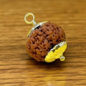 9 Mukhi Java Rudraksha Nine Face Rudraksha Java Small