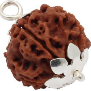 Five Face 5 Mukhi Rudraksha