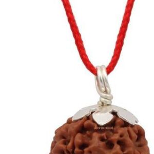 Lab Certified 14 Mukhi Rudraksha Beads Original