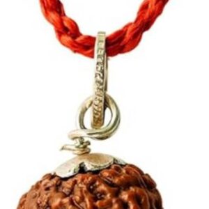 4 Mukhi Rudraksha / Four Face Rudraksha With Red Chanda…