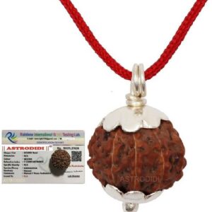 6 Mukhi Rudraksha Original IGL Certified | Original
