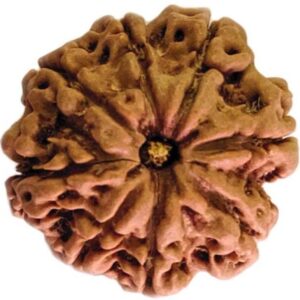 Silver Capped Karungali Malai 5 Mukhi