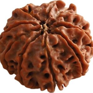 original tulsi Mala from vrindavan Wood Chain