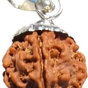 9 Mukhi Nepali Rudraksha Nine Faced Rudraksh With