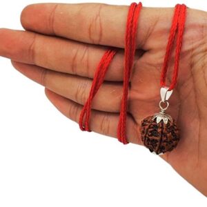 Rudraksha Mala Lab Tested with Certificate