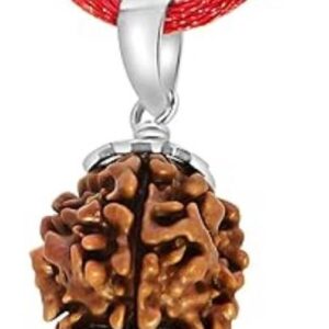 9 Mukhi X Ray Certified Rudraksha Bead - Nepal Origin