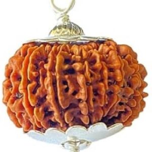 Natural Rudraksha Mala 27+1 Beads Wood Necklace