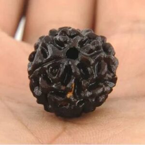 3 Mukhi Rudraksha With Pendant Lab Certified 10-14Mm