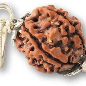 Original Panchmukhi Rudraksh for locket mens,womesn,