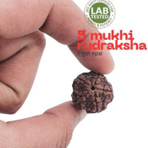 5 Mukhi Lab Certified Wood Pendant