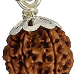 100% Original Nepal 5 Mukhi Rudraksha Lab Certified