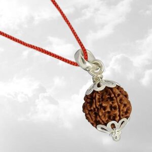 9 Mukhi Lab Certified Rudraksha Pendant Indonesia