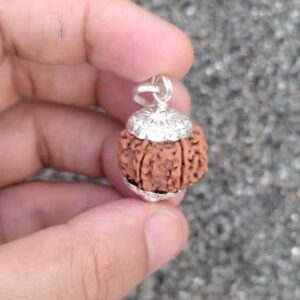 Gold Plated Eternal Grace Rudraksha Mala Gold-plated