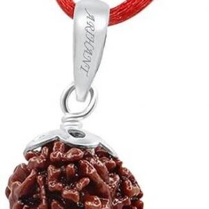 Original Silver Capped Karungali Malai in with 5