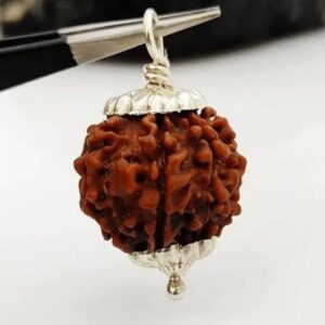 5 Mukhi Nepali Lab Certified Original Pendant