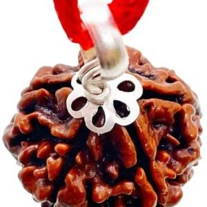 Natural 7 Mukhi Rudraksha Pendant Lab Certified