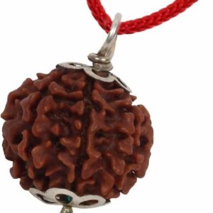 Gold Plated Eternal Grace Rudraksha Mala