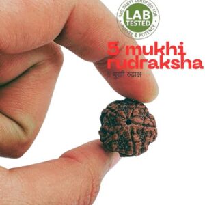 7 Mukhi Lab Certified Wood Pendant