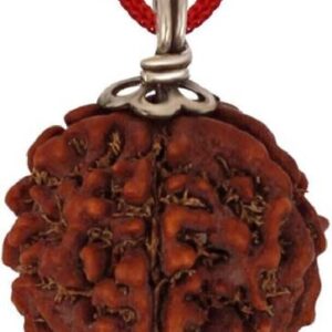 5 Mukhi Rudraksha Nepali Certified Silver Wood Pendant
