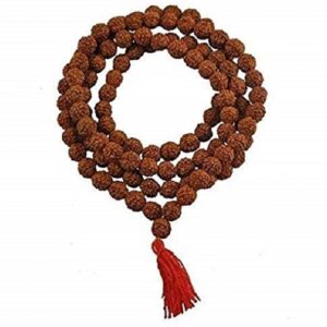 Silver Capped Rudraksha Mala 6mm 54 Beads
