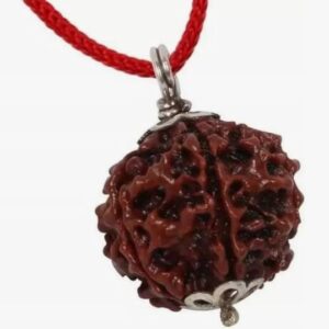 5 Mukhi Lab Certified Nepali Rudraksha Pendant