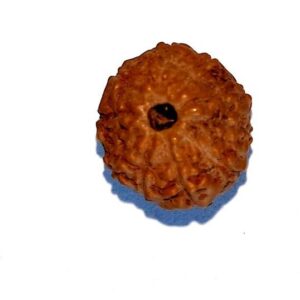 2Pc Karungali Mala Rudraksha 54 Beads