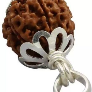 Natural lab certified Gauri Shankar rudraksha bead