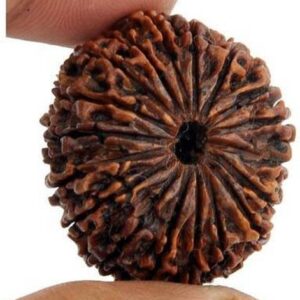 Mahakal Locket with Rudraksha Mala & Trishul Damru