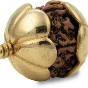 Original Panchmukhi Rudraksh for locket mens,womesn,uni