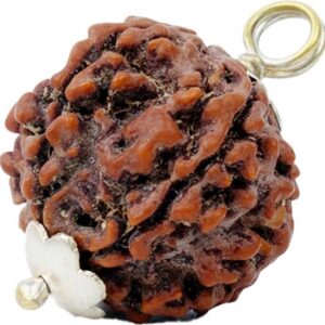 5 Mukhi Rudraksha Combo Crystal