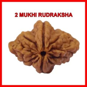 Rudraksha 5 Mukhi Pendant Beads Wood Pendant