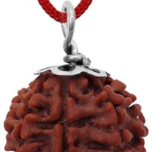 Rudraksha Chain