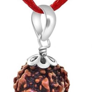 Locket 5 Mukhi / 5 Face Rudraksha Original Certified