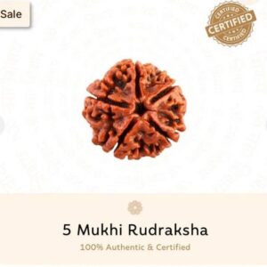 6 Mukhi Original Nepali Rudraksha Bead - Symbol