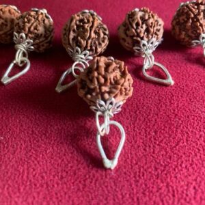 10 Mukhi Rudraksha Pendant Lab Certified Nepali