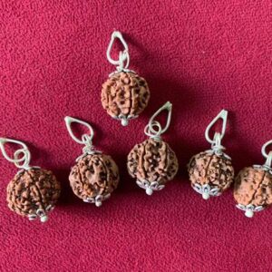 10 mukhi rudraksha nepali / 10 mukhi 100% pure men and