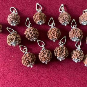 Lord Shiva Rudraksha Mala with Gold Plated Pendant