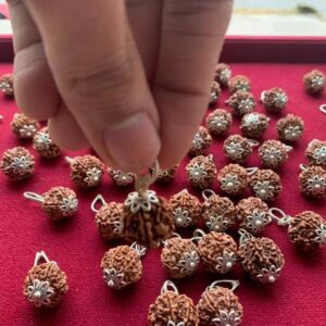 Original 5 Mukhi Nepali Five Face Rudraksha Bead