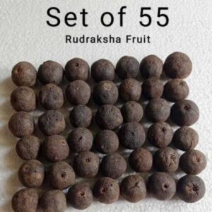5 Mukhi Rudraksha Pendant Lab Certified Nepali