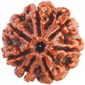 Gold Plated Eternal Grace Rudraksha Mala Gold-plated