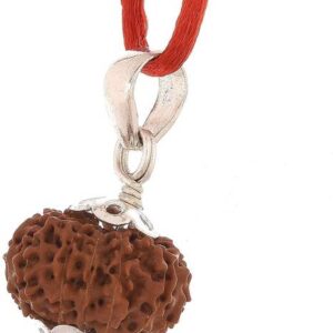 5 Mukhi Rudraksha Combo Crystal
