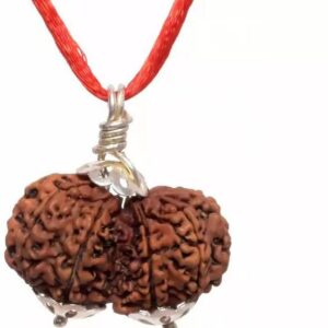 14 Mukhi Nepali Siddha Rudraksha Pendent With IGL