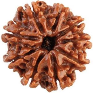 Rudraksha Mala Lab Tested with Certificate