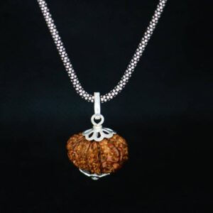 12 mukhi rudraksha pendant Wood