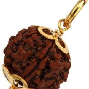 Locket 5 Mukhi / 5 Face Rudraksha Original Certified Pl
