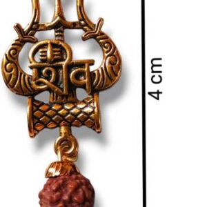 5 Mukhi Rudraksha Natural Lab Certified (100% Original)
