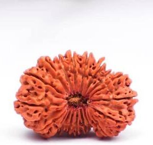 Rudraksha Bracelet