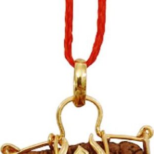 Aura Gems 5 Mukhi 108 Beads 6mm Certified