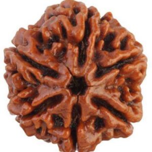 Silver Blue Owl Eye Design Ring Boys Adjustable