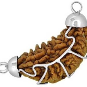 8 Mukhi Rudraksha Pendant - Original & Certified